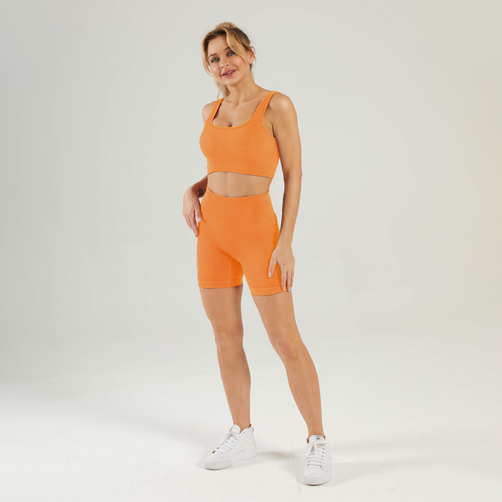 Seamless Gym Yoga Set Sports Bra & Shorts for Women