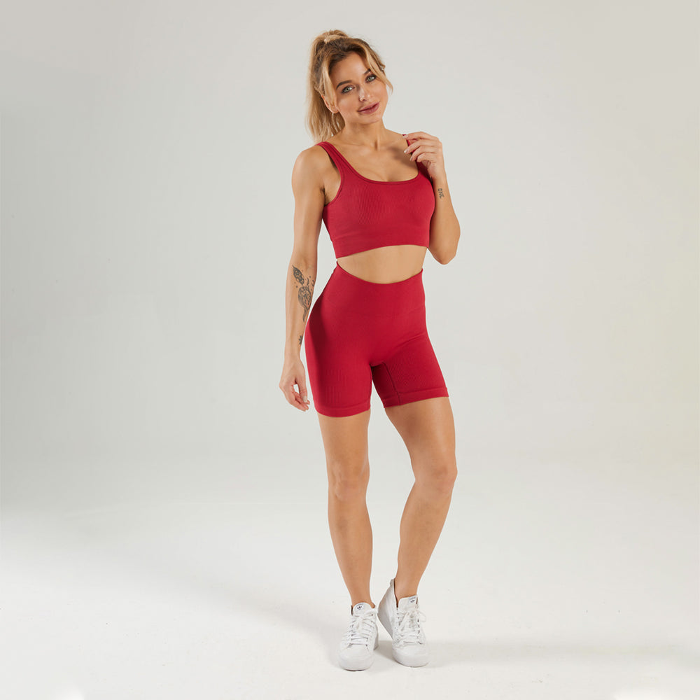 Seamless Gym Yoga Set Sports Bra & Shorts for Women