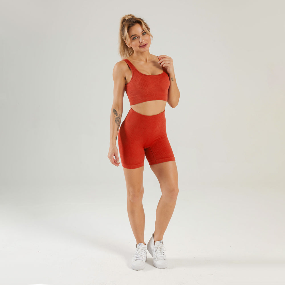 Seamless Gym Yoga Set Sports Bra & Shorts for Women