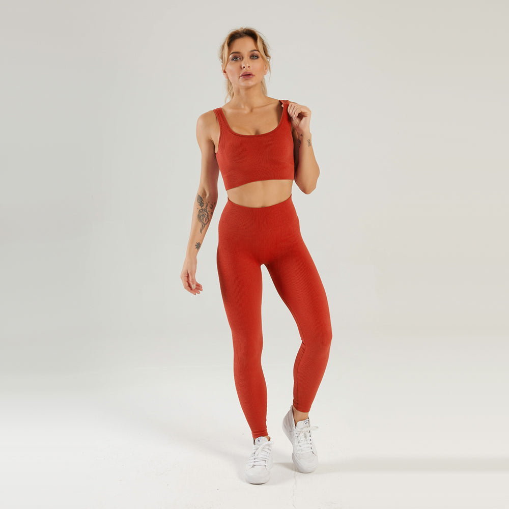 Seamless Gym Yoga Set Sports Bra & Leggings for Women