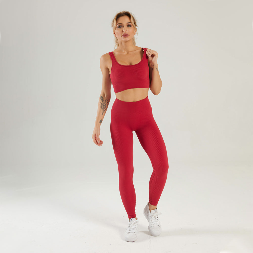 Seamless Gym Yoga Set Sports Bra & Leggings for Women