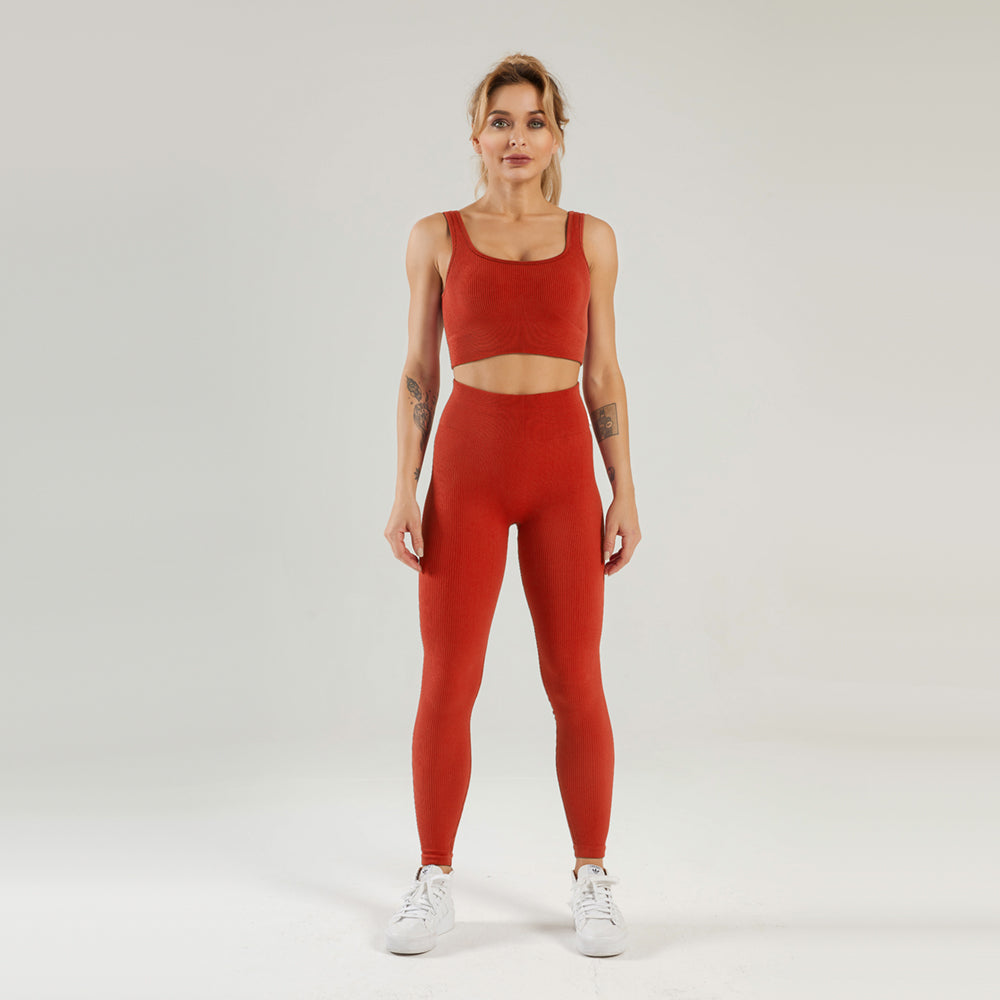 Seamless Gym Yoga Set Sports Bra & Leggings for Women