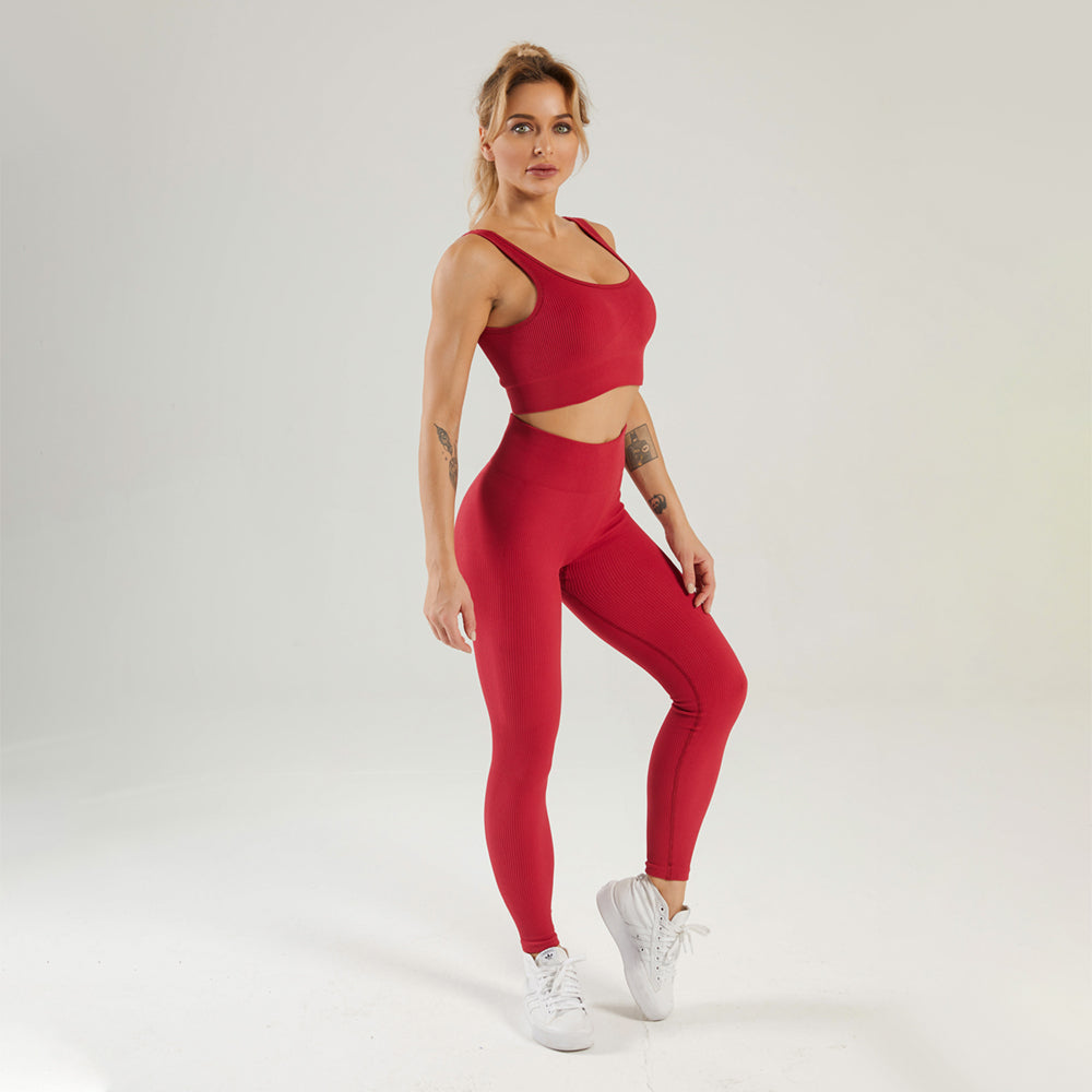 Seamless Gym Yoga Set Sports Bra & Leggings for Women