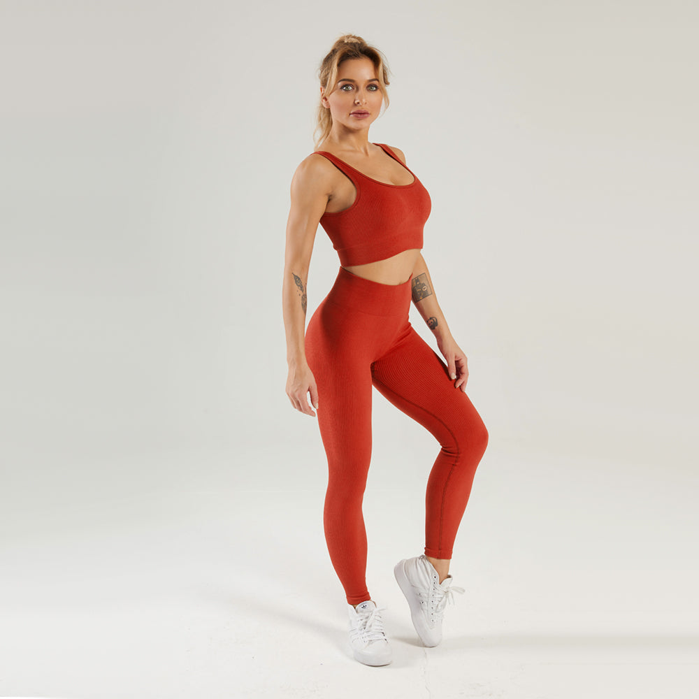 Seamless Gym Yoga Set Sports Bra & Leggings for Women