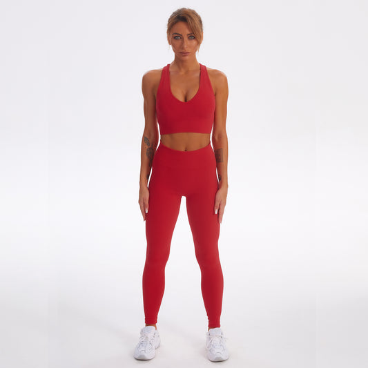 Seamless Gym Yoga Set Sports Bra & Leggings